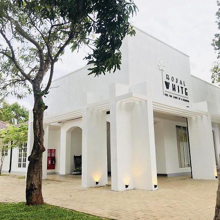 Royal White Tourist Rest Otel Anuradhapura Dış mekan fotoğraf